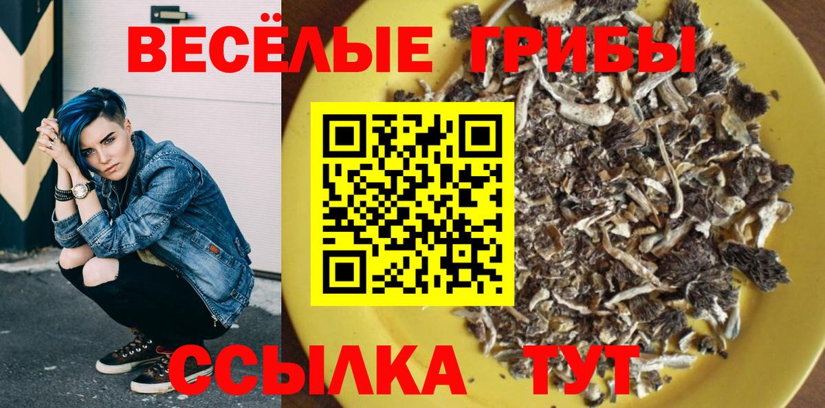 Псилоцибиновые грибы Cubensis  Псилоцибиновые грибы MAGIC MUSHROOMS  Вход с VPN  Владимир 